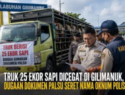 Drama di Gilimanuk: Truk Bermuatan 25 Sapi Dicegat, Dugaan Dokumen Palsu dan Nama Oknum Polisi Jadi Sorotan